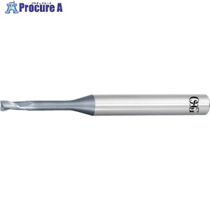 OSG ���d�G���h�~��WXL�R�[�g2�n�����O�l�b�N�V���[�g �[���u3133006 WXL-LN-EDS-2 X 6(3133006) 1�{ ����824-4529 �y�����s�x���ρz ��YA513