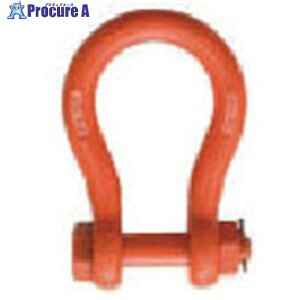 TAIYO �y�ʃV���b�N�� RB-25t(1062782) RB25T 1�� ����851-6436 ���l��l����s��