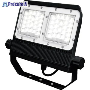 IRIS 108571 LEDx[X_ECg 150 3000lm F (5000) zCg  FLS-50W-WN-K3-R8-B 1 322-9678 ysxρz