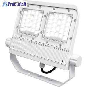 IRIS 108542 LEDx[X_ECg 150 1100lm F (5000) zCg  FLS-50W-N-K5-R7-W 1 322-9684 ysxρz