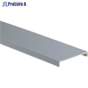 PANDUIT �q���W�^�C�v�z���_�N�g�p�J�o�[ ���C�g�O���[ 6FT(�t�B�[�g) 1�{ HC3LG6 1�{ ����731-3152 �y�����s�x���ρz���ԏ�n��