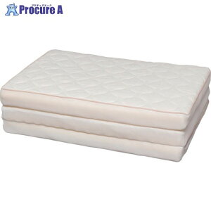 IRIS 530334 GA[nCubh}bgX HB90-S 1 784-1809 ysxρz