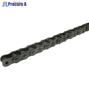 KANA HKK SBR-PLUS ���[���`�F�[��(�������`�F�[��) �s�b�`P:25.4 HKK80-SBRCPT 1�{ ����798-5797�y������ϕs�z�y�����s�x���ρz