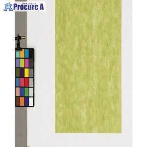 fBJ sDzV[g 100 _[NO[ 75p FUDG-75 1 816-7784yϕszysxρz