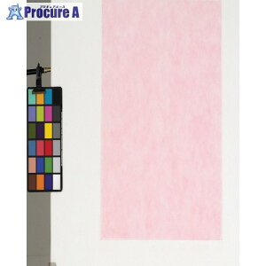 fBJ sDzV[g 100 sN 66p FUP-66 1 816-7789yϕszysxρz