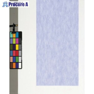 fBJ sDzV[g100 p[v 66p FUPA-66 1 816-7792yϕszysxρz