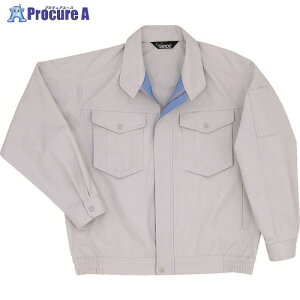 ~hS t jpE/Cu] Vo[O[ L GS 2341-UE-L 1 857-4139 lls