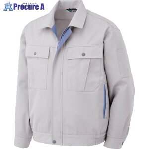 �~�h�����S �t�� �����u���]�� �V���o�[�O���[ 4L GS 2561-UE-4L 1�� ����857-4259 ���l��l����s��