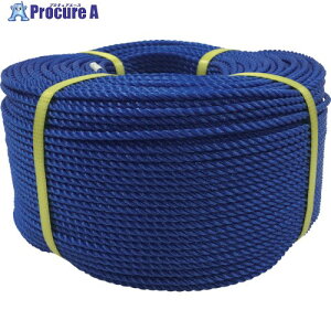 ���^�J���C�N ���[�v PE���[�v���� 4��×200m �u���[ PE-82 1�� ����113-5458 �y�����s�x���ρz