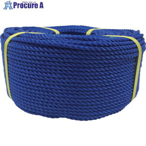 ���^�J���C�N ���[�v PE���[�v���� 6��×200m �u���[ PE-102 1�� ����113-5507 �y�����s�x���ρz