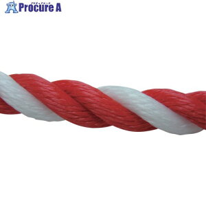 ���^�J���C�N ���[�v PE���[�v���� 9��×200m �R�E�n�N PE-55 1�� ����113-5519 �y�����s�x���ρz���ԏ�n��