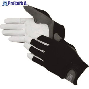 ^XR v TA967AM-M 1o 145-3013yϕszysxρz