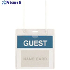 PLUS 84701)CxgD50 CT-E1 zCg CT-E1 WH 1pbN 195-9861 ysxρz