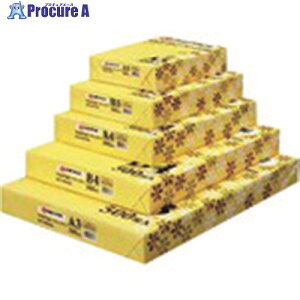 JTX 325371)Rs-y-p-  B5 5000A019J A019J 1 196-4742 ysxρz