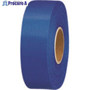 JTX 831138)�J��-���{���� 24mmX25m 10��B824J-NB10 B824J-NB10 1�p�b�N ����196-6250 �y�����s�x���ρz