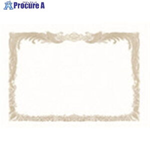 JTX 831177)OA܏pcpA3 100 N145J10 N145J-10 1S 196-9420 ysxρz