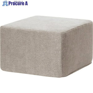 PLUS 51538)WF�\�t�@ �I�� LS-WFS09LC CLG LS-WFS09LC CLG 1�� ����211-0933 �y�����s�x���ρz