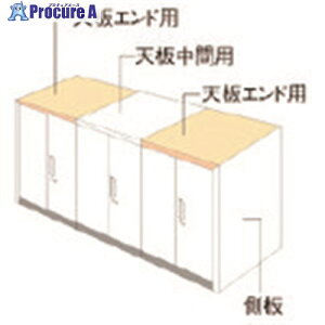 PLUS 648921)L6 �i�`�������p�l�� L6-NPT80-ER WM L6-NPT80-ER WM 1�� ����211-6558 �y�����s�x���ρz