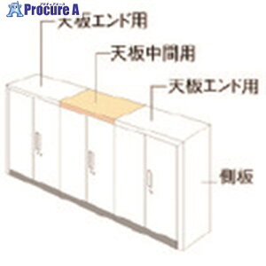 PLUS 648919)L6 �i�`�������p�l�� L6-NPT40-CK WM L6-NPT40-CK WM 1�� ����211-9916 �y�����s�x���ρz