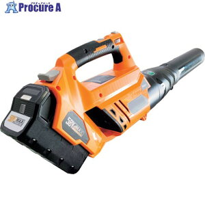 IDECH 58VLi-ionobe[@ u[elex 2.0Ahobe[ BHB70M-201 1 258-1142 ysxρz