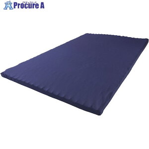 IRIS 100755 ZutBbg}bgX Z~_u UMPZ74-SD 1 420-2509ysxρz