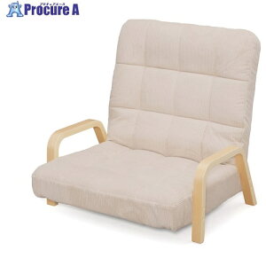 IRIS 573496 EbhA[`FA WAC-LW 1r 422-0378 ysxρz