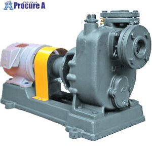 TERADA �Z���v���|���v ���S���y�A�[�|���v ���[�^�[�t P-4E 50HZ WM 1�� ����444-5008