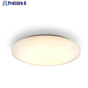 IRIS 533339 ���^�V�[�����O���C�g 2800lm �d���F CLM-28LD 1�� ����456-2215 �y�����s�x���ρz