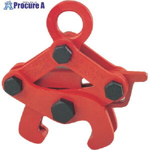 X[p[ [Nv(Spe탌[p݃Nv) K[:40E50E60kgE50kgN[ RGC50 1 813-0834 ysxρz YA513