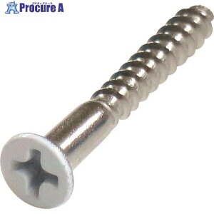 DAIDOHANT lWJ[ XeX ؂˂ M 3.1x25(16{) 10179112 1pbN 146-6448