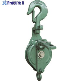 HHH 強力型滑車一車スナッチ フック型100mm 100X1S 1個 ▼215-5478