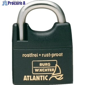 uN Fq^[ Jo[tXeXVbN싞 AgeBbN 217F-30NiSB 10001 1 243-4244