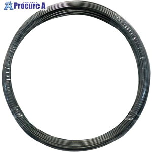 DAIDOHANT sAm [SWP-A] (a) 0.23mm × () 10M 00053705 1 369-0654 ysxρz