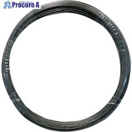 DAIDOHANT ピアノ線 [SWP-A] (線径) 0.1mm × (長さ) 10M 00050070 1巻 ■▼369-0657 【送料都度見積】