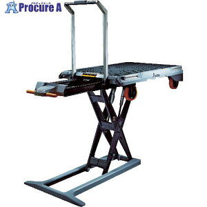 xetto d~ 250Kg 1003-0811 1 380-5526 ԏn