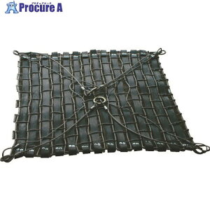  SbR 1.2Mp 12M 1 461-4747 ԏn