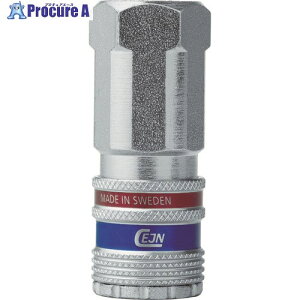 CEJN �V���[�Y310 eSafe �J�b�v�����O G3/8 ���l�W 10-310-2204 1�� ��835-8610