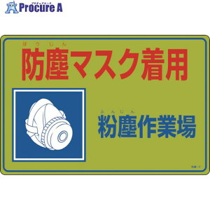 Ώ\ o֌WW ho}XNpEoƏ o-2 300×450mm Gr 079002 1 859-5290