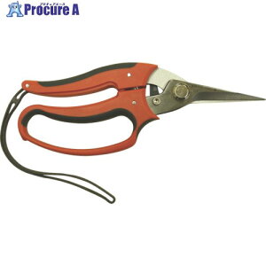 ���� �}�C�t�B�b�g�K�[�f����MF-140 190613 1�� ����868-2237 �y�����s�x���ρz
