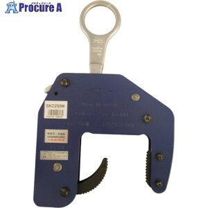 X[p[ RN[g񎟐ip݃Nv(}V^Cv)Ch^ e:250kg Nv͈:70`100mm SKC250W 1 104-2122 YA513