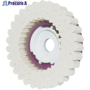 iZ SG RbgfBXN 100pC SG-CD100 5 118-4838