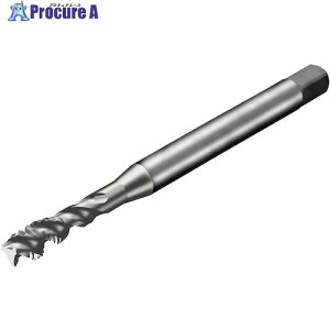 SANDVIK �R���^�b�v300 �X�p�C�����^�b�v(781) C150 T300-XM100AE-1/4 C150 (781) 1�{ ����324-5272 �y�����s�x���ρz ��KO521