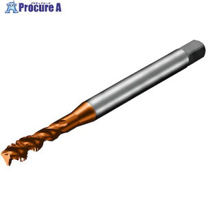 SANDVIK �R���^�b�v300 �X�p�C�����^�b�v(781) C110 T300-XM100DF-1/4 C110 (781) 1�{ ����326-7564 �y�����s�x���ρz ��KO521