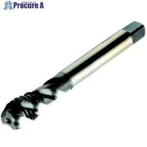 SANDVIK �R���^�b�v300 �X�p�C�����^�b�v(780) C110 T300-MM101IA-M12 C110 1�{ ����461-4840 �y�����s�x���ρz ��KO521