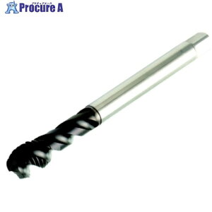 SANDVIK �R���^�b�v300 �X�p�C�����^�b�v(780) C110 T300-MM100AE-4-40 C110 1�{ ����461-4841 �y�����s�x���ρz ��KO521