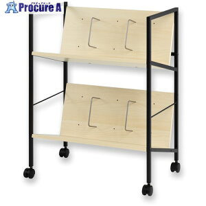 ASKA t@CS ؐt@CS2i ubN FWG02BK 1 680-0917 ysxρz