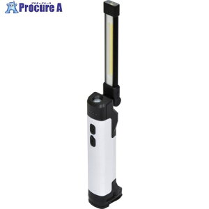 NICHIDO �[�d��LED�n���f�B���C�g �W���b�N�����v LEH�[B5W40CH LEH-B5W40CH 1�� ��679-8756