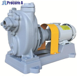 TERADA �Z���v���|���v ���S���O�����h�� 60Hz 0.20kw �S�g��6.1m ���[�^�[�t O-1G 60HZ 200V WM 1�� ����462-3452 ���ԏ�n��