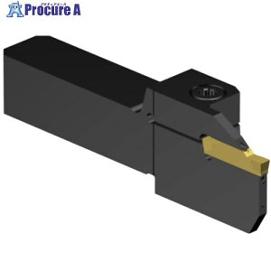 SANDVIK CoroCut2 �ː؂�E�a������H�pQS�V�����N�o�C�g(480) C2R-QS20-LH25CD 1�� ����658-4588 �y�����s�x���ρz ��KO521