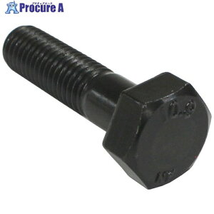 �R�m�G ���x�敪10.9 �Z�p�{���g ���˂� M6x70 BT-109-H-670B 10�{ ����694-1601 �y�����s�x���ρz